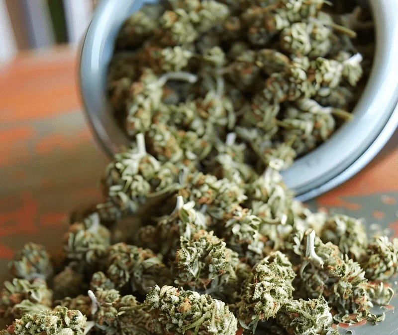 Where can l safely and legally buy cannabis in Berlin, Germany?