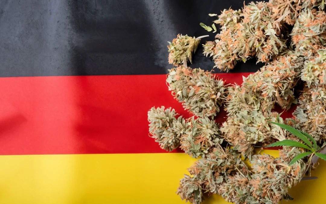 Where to buy marijuana in Frankfurt?